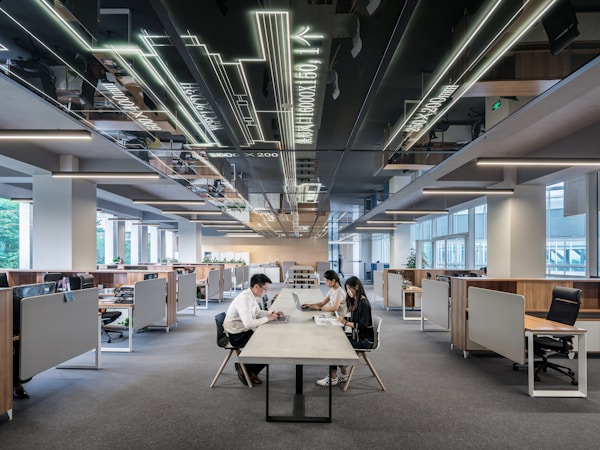 Expertise Organisation et Stratégie